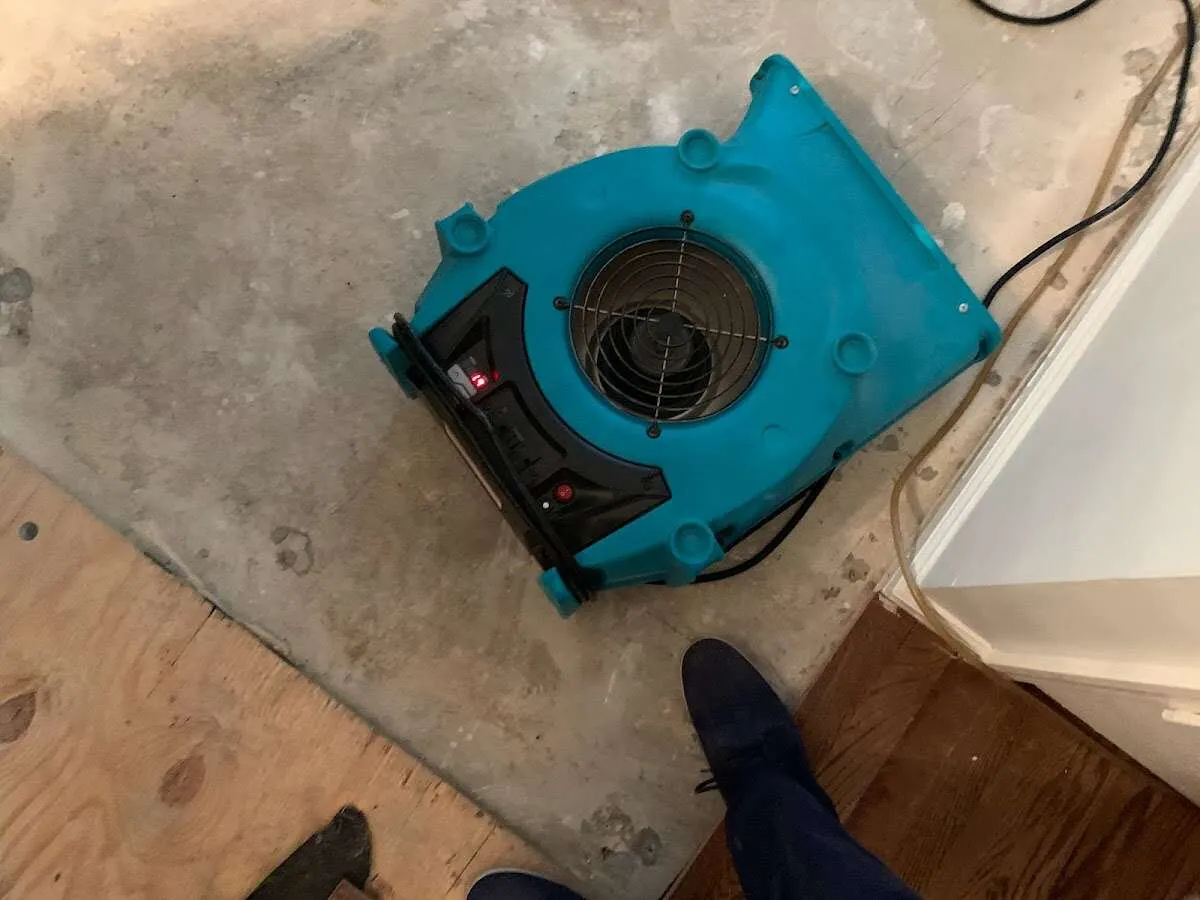 Air mover drying subfloor during Commercial Water Damage Restoration in Clyde